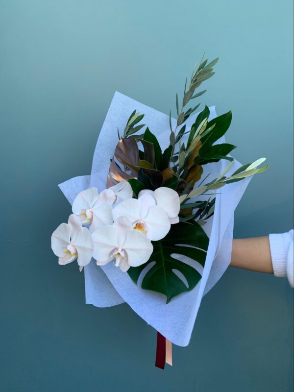 Elegant Orchid